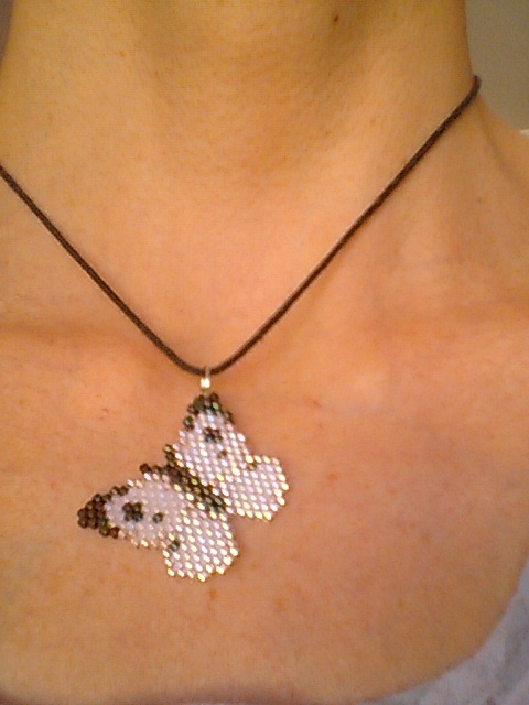papillon
